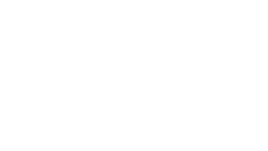 Netpreme Logo